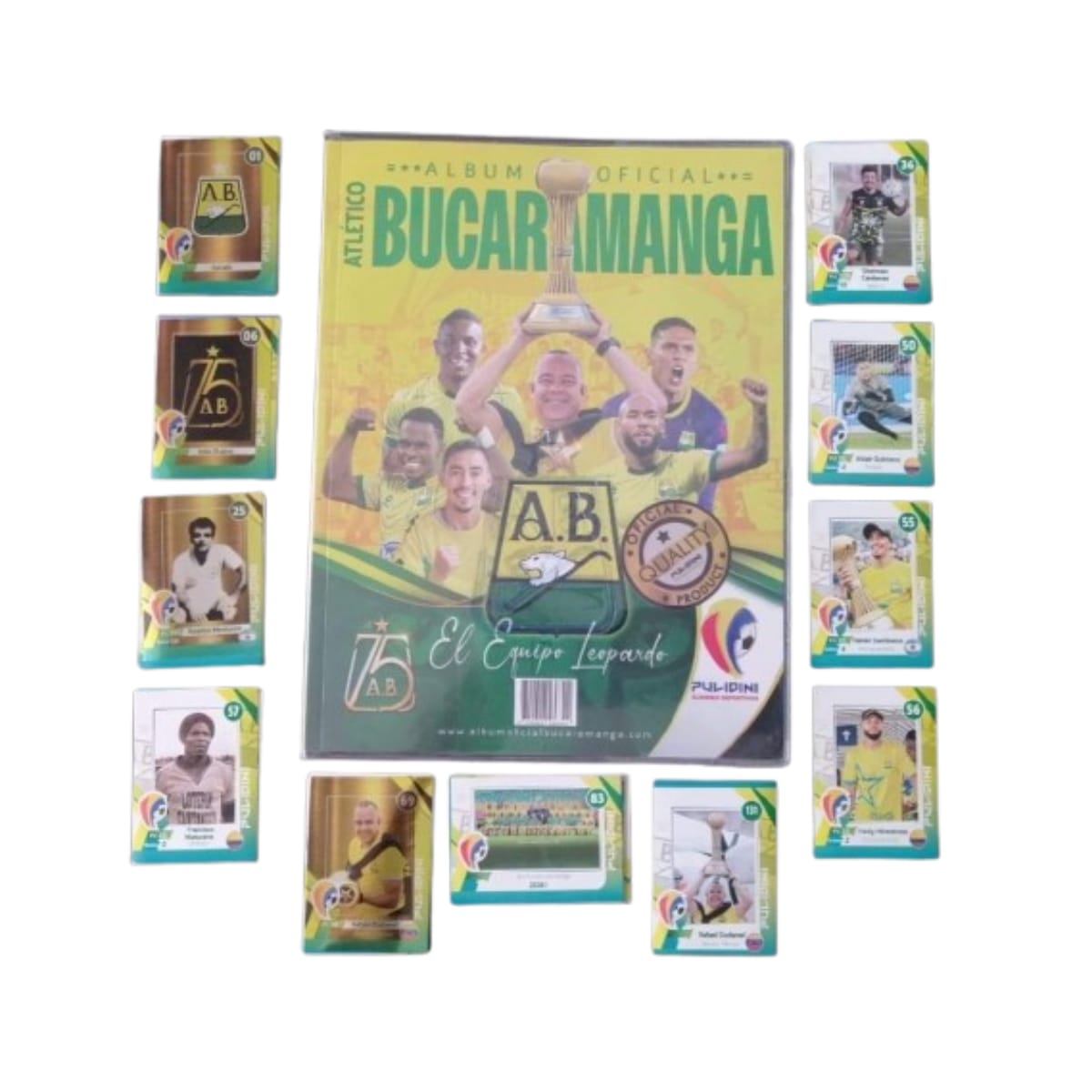 Album Bucaramanga Campeon